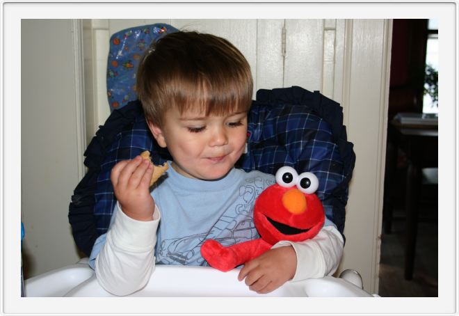 Birthday Elmo